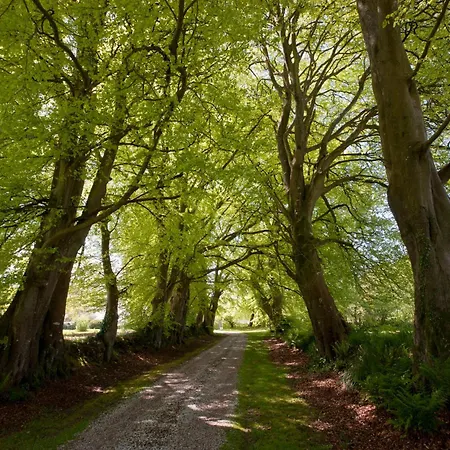 ベッド・アンド・ブレックファスト ル マノワール ド ラ フィフィ