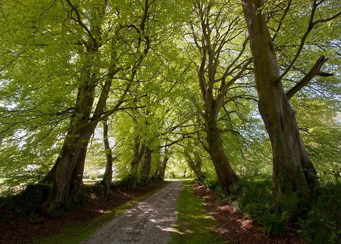 ベッド・アンド・ブレックファスト ル マノワール ド ラ フィフィ