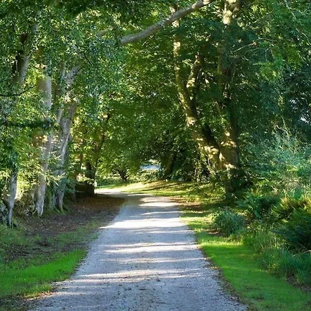 Le Manoir De La Fieffe فندق مبيت وإفطار شيربوغ أون كوتننتين