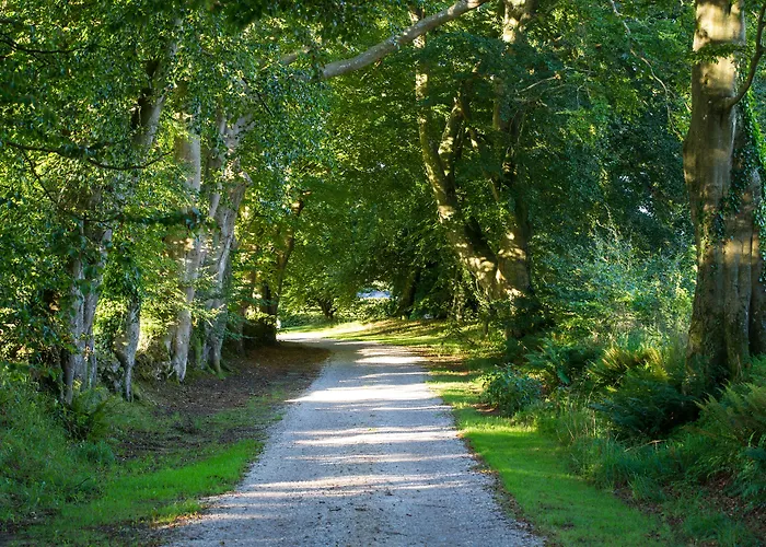 Panzió Le Manoir De La Fieffe Cherbourg en Cotentin
